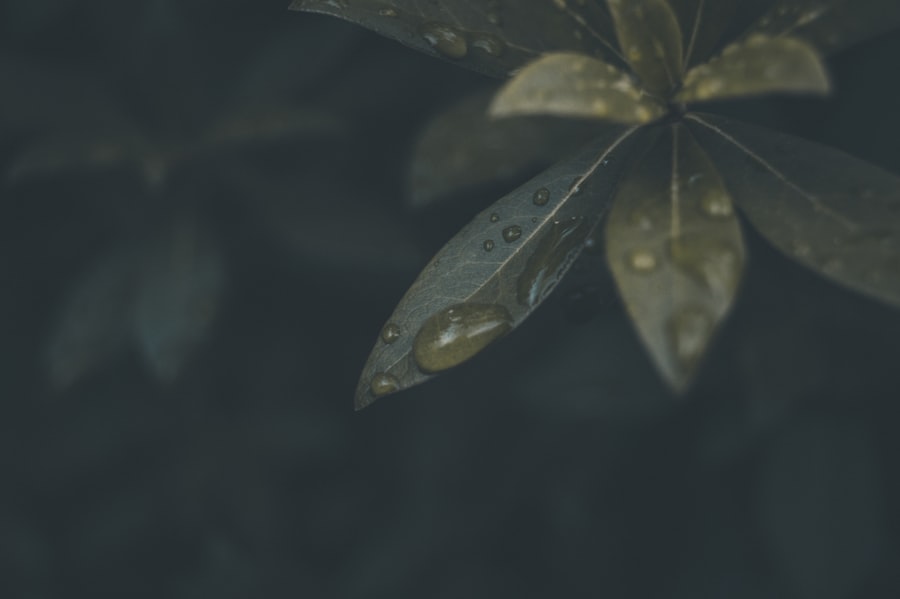 Retention Programs