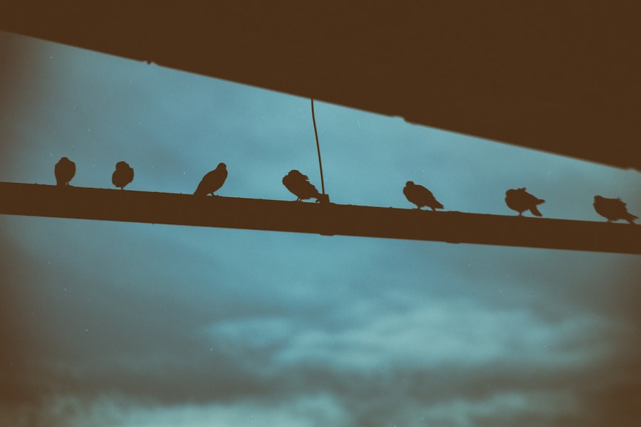 social intelligence