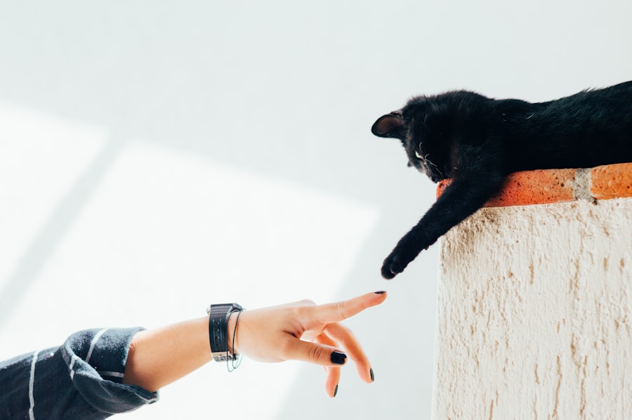 Negotiation Management