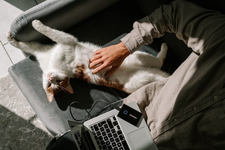 Photo Bring Your Human to Work