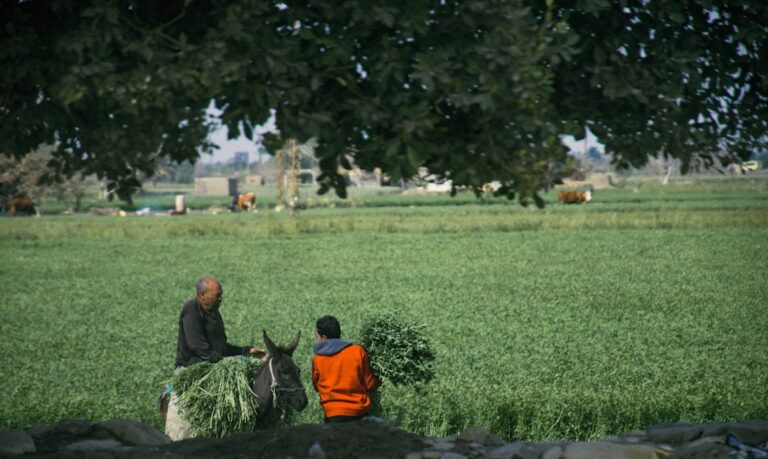 Photo Management High Output - Andrew Grove