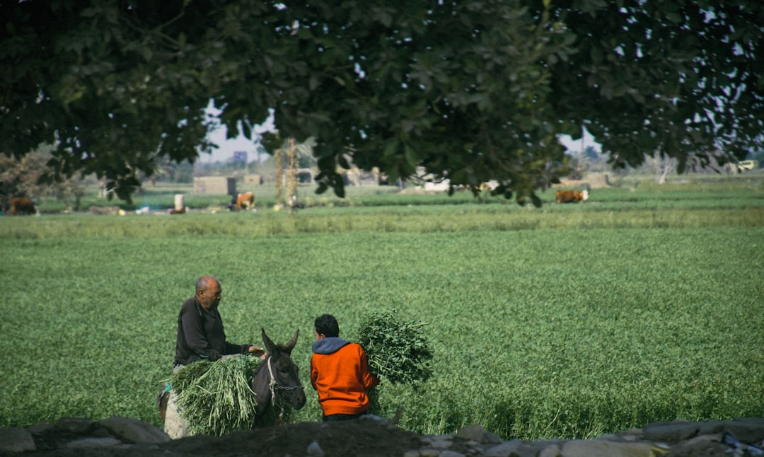 Photo Management High Output - Andrew Grove