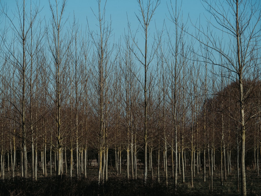 Photo Management High Output - Andrew Grove