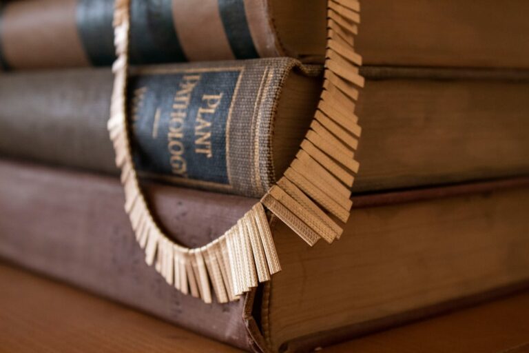 Photo civil law fundamentals