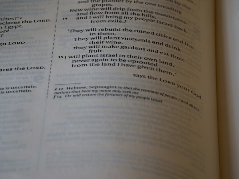 Photo Constitutional Law