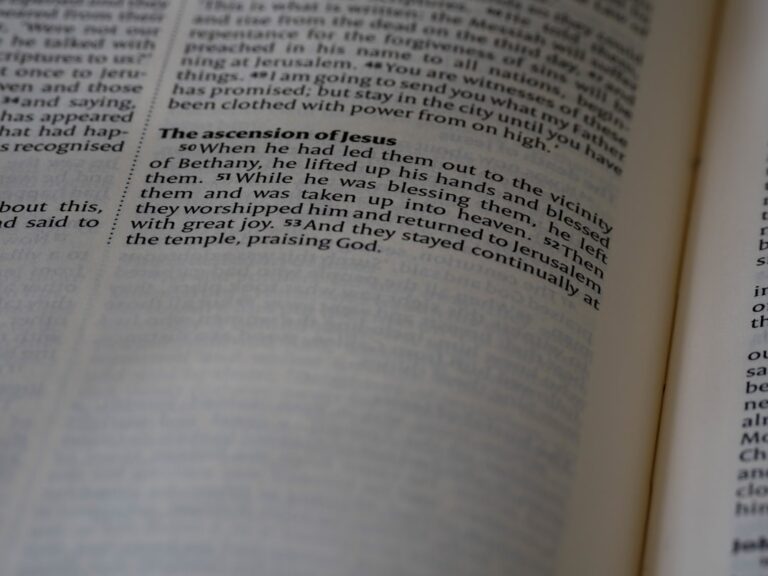 Photo Accounting Dictionary