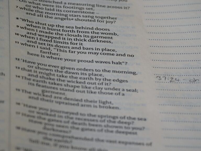 Photo Tax accounting