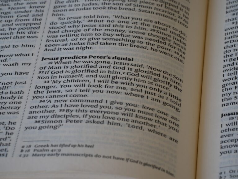 Photo Intellectual Property System