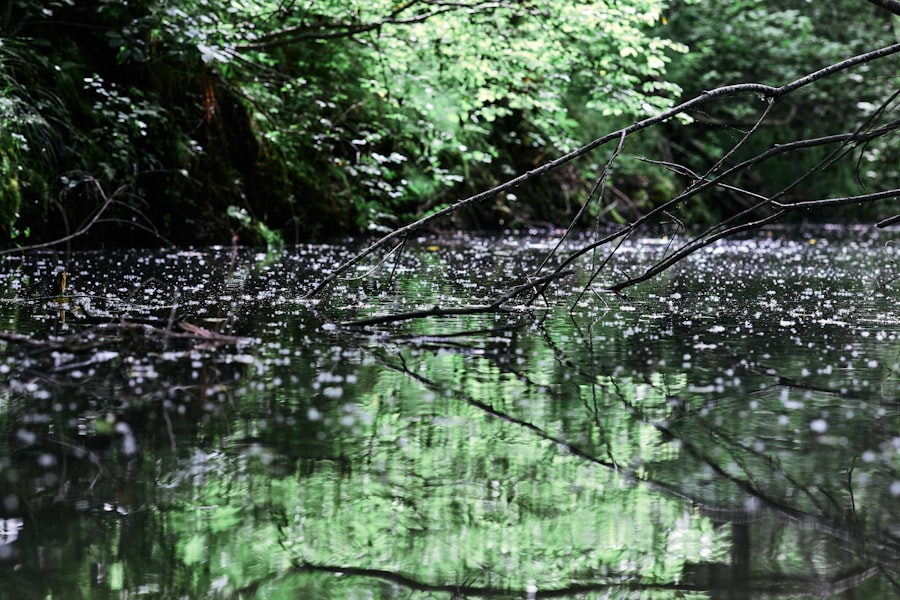 Photo Environmental accounting