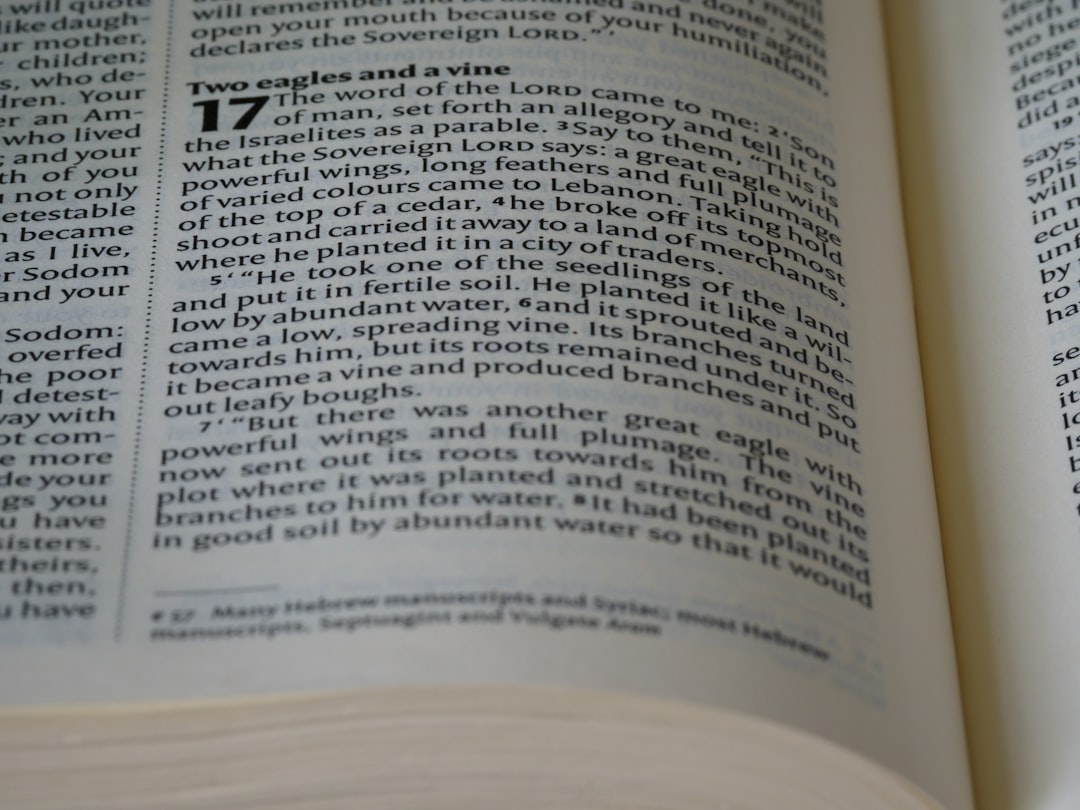 Photo intellectual property laws