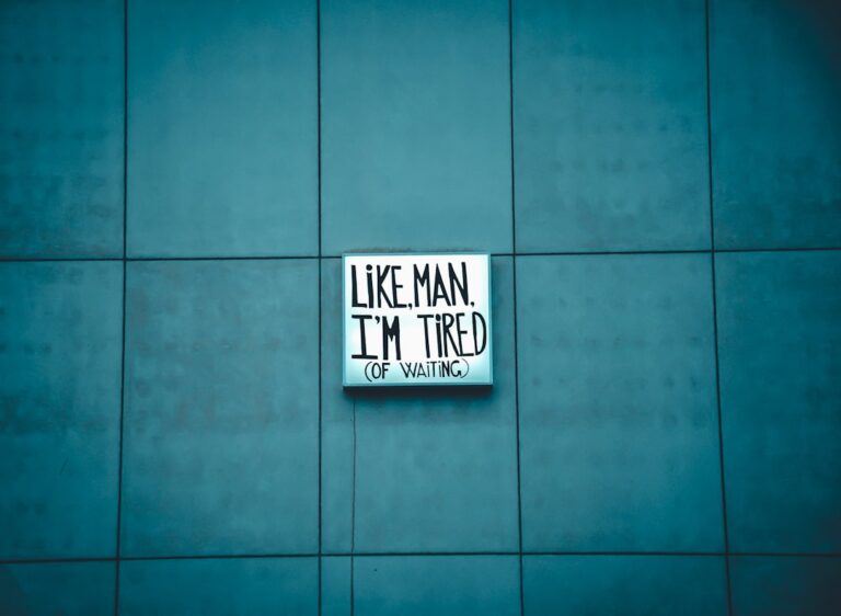 Photo 12 Rules for Life