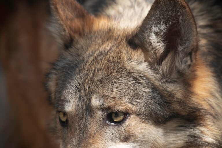 Photo decision-making