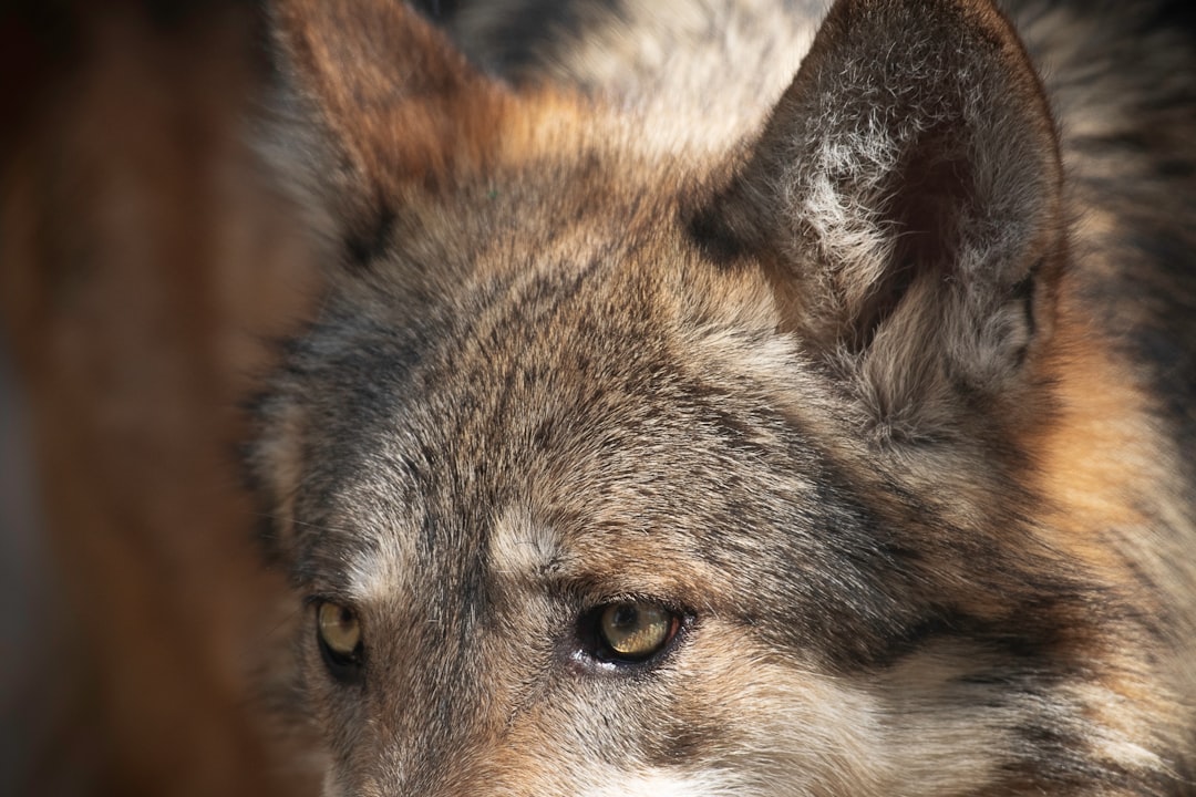 Photo decision-making