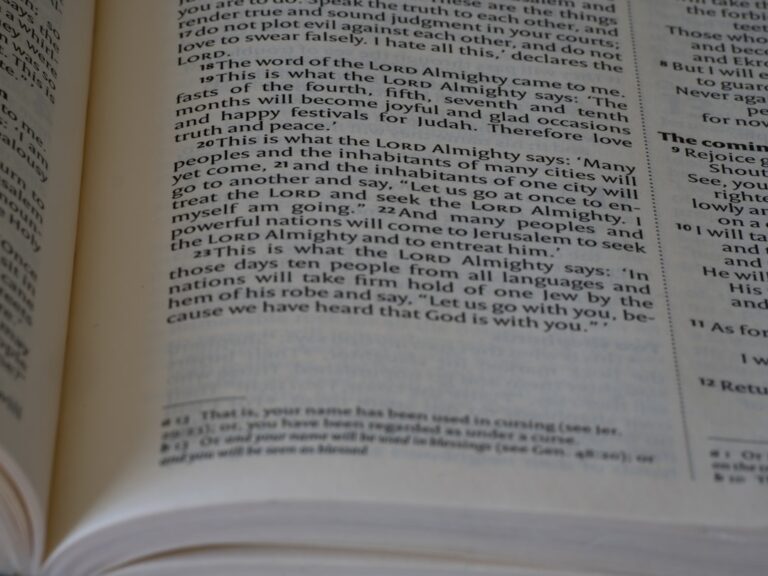 Photo Legal literature