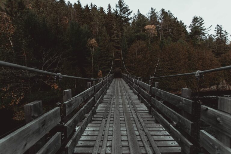 Photo Explore Options