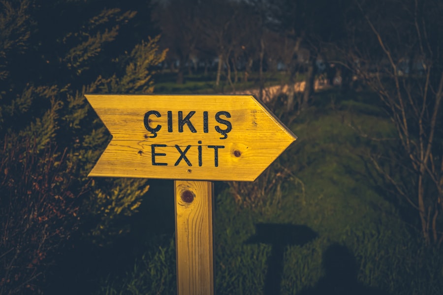 Photo Explore Options  
