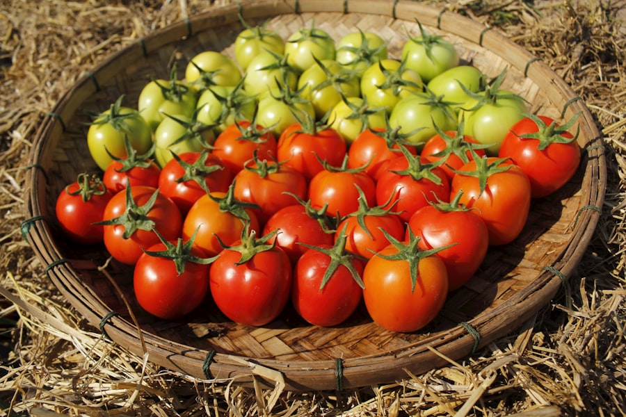 Photo Develop Skills  
