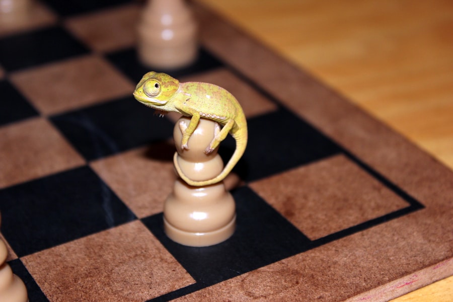 Photo Competitive Advantage  
