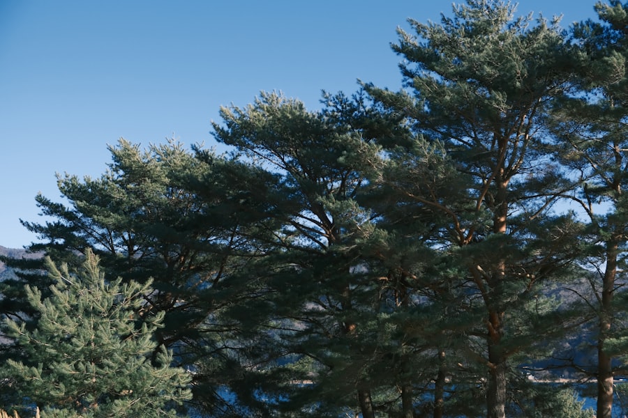 Photo Environmental Sustainability  
