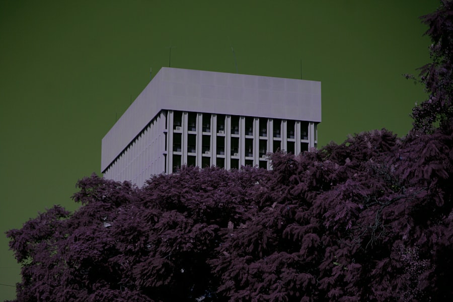 Photo Build Council  

