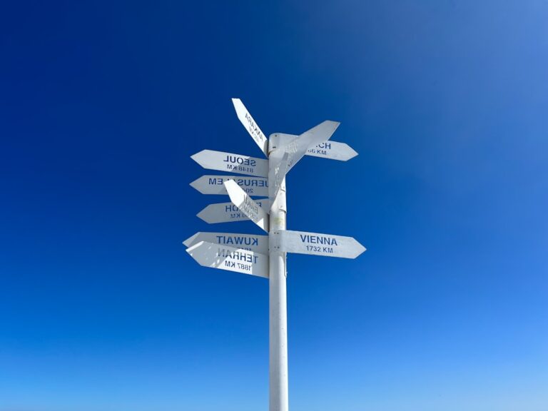 Photo decision-making process