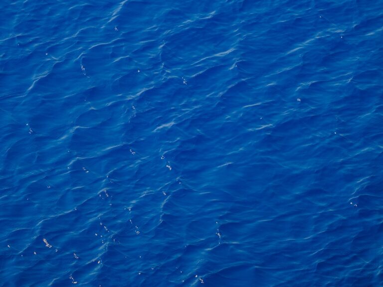 Photo Blue Ocean Strategy