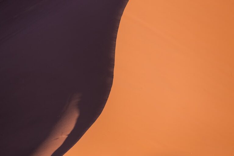 Photo Skin in the Game