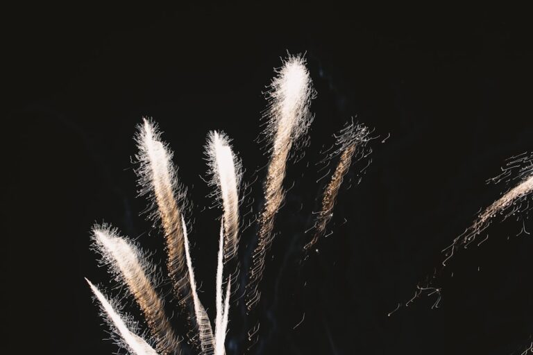 Photo conflict resolution