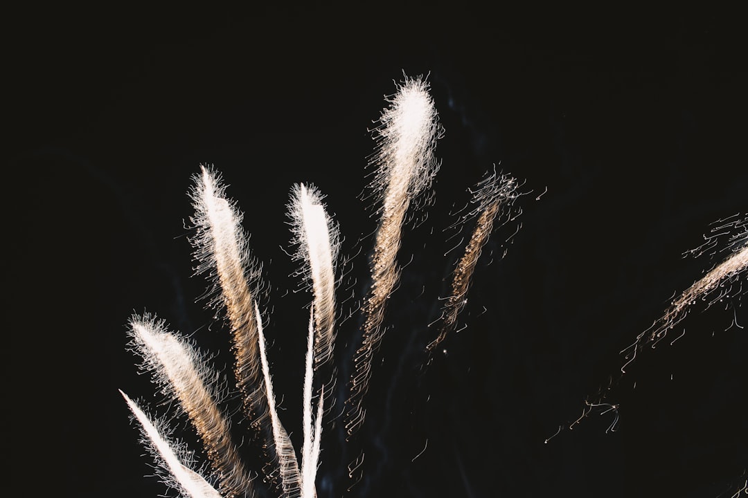 Photo conflict resolution