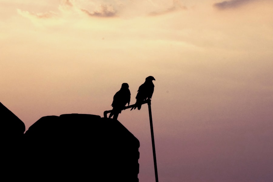 Photo Leadership Skills
