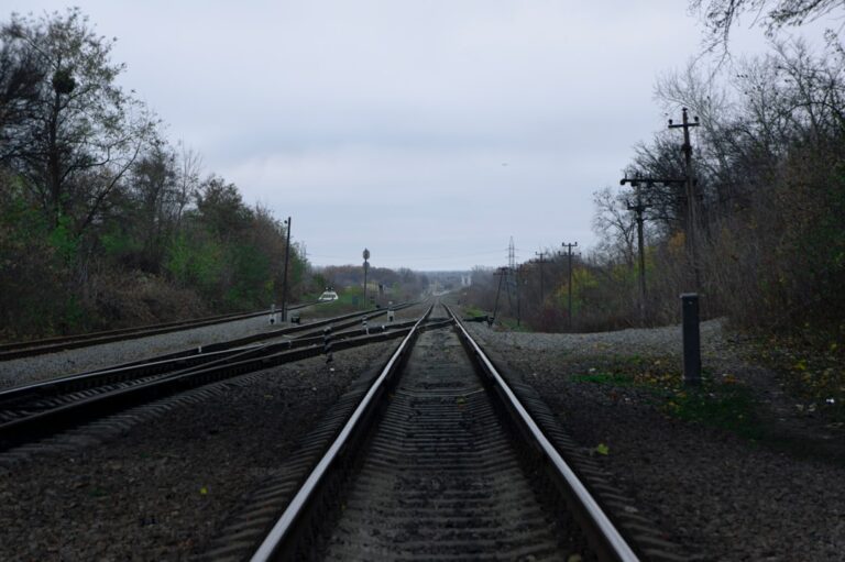 Photo Track Progress
