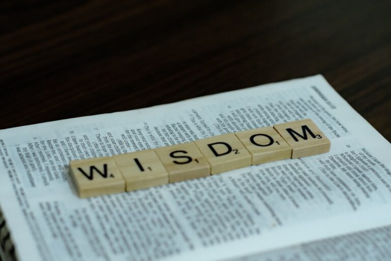 Photo Wise Leadership