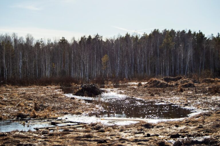 Photo Environmental Assessment