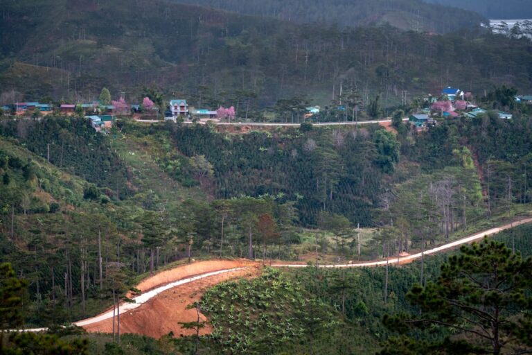 Photo Sustainable development projects