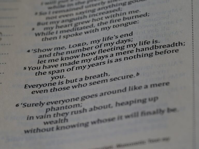 Photo E-Myth Revisited