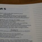 Photo Chasm Companion