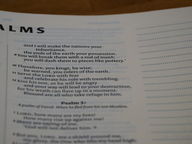 Photo Chasm Companion